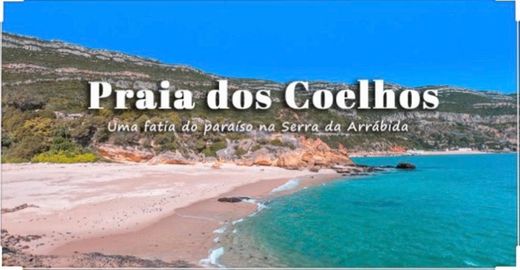 Praia dos Coelhos