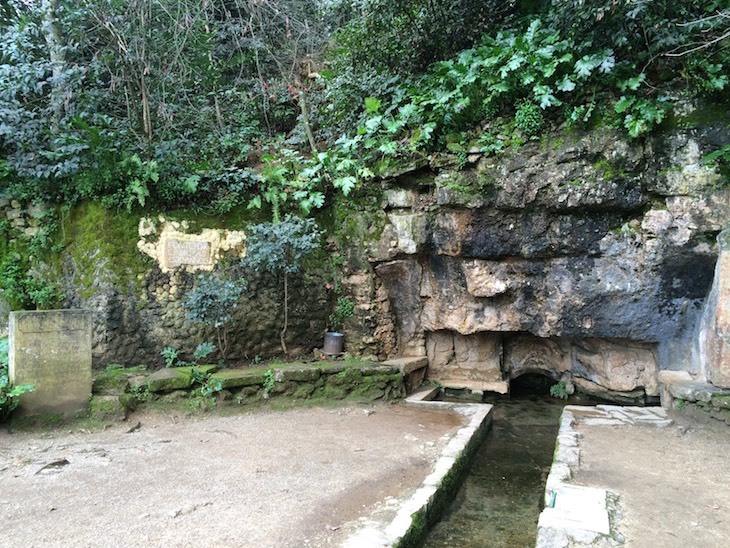 Place Jardins da Quinta das Lágrimas