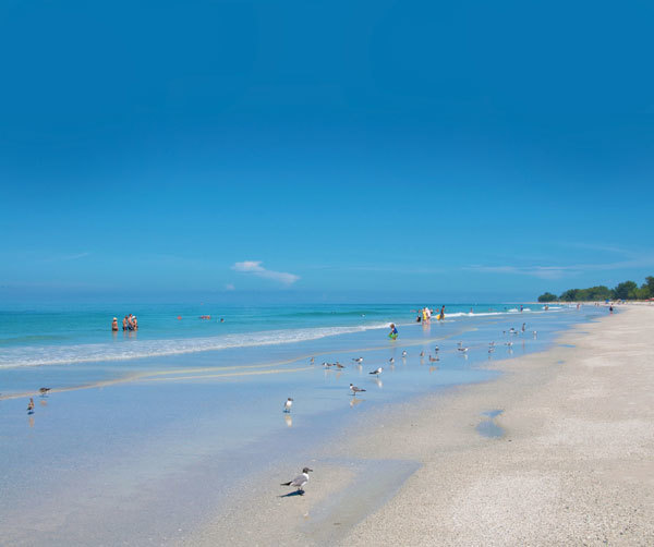 Place Sarasota Beach