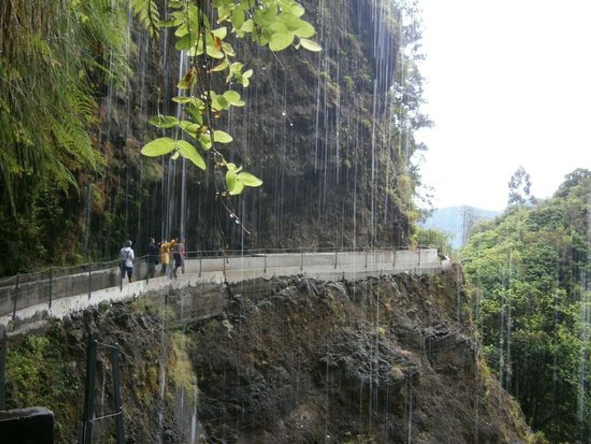 Place HP16 Levada Faja do Rodrigues