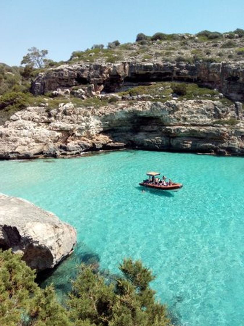 Lugar Cala Figuera