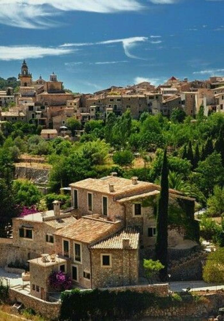 Lugar Valldemosa