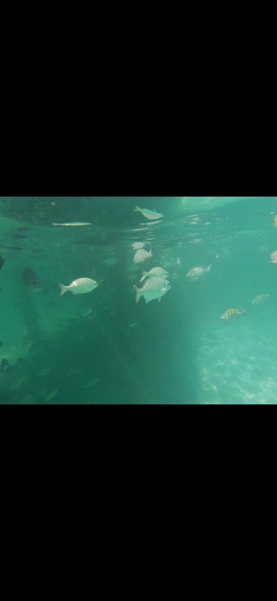 Lugar Playa del Carmen