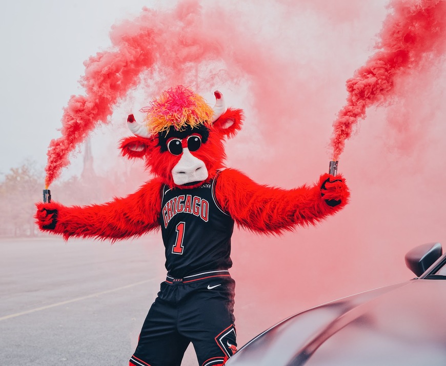 Fashion Benny The bull