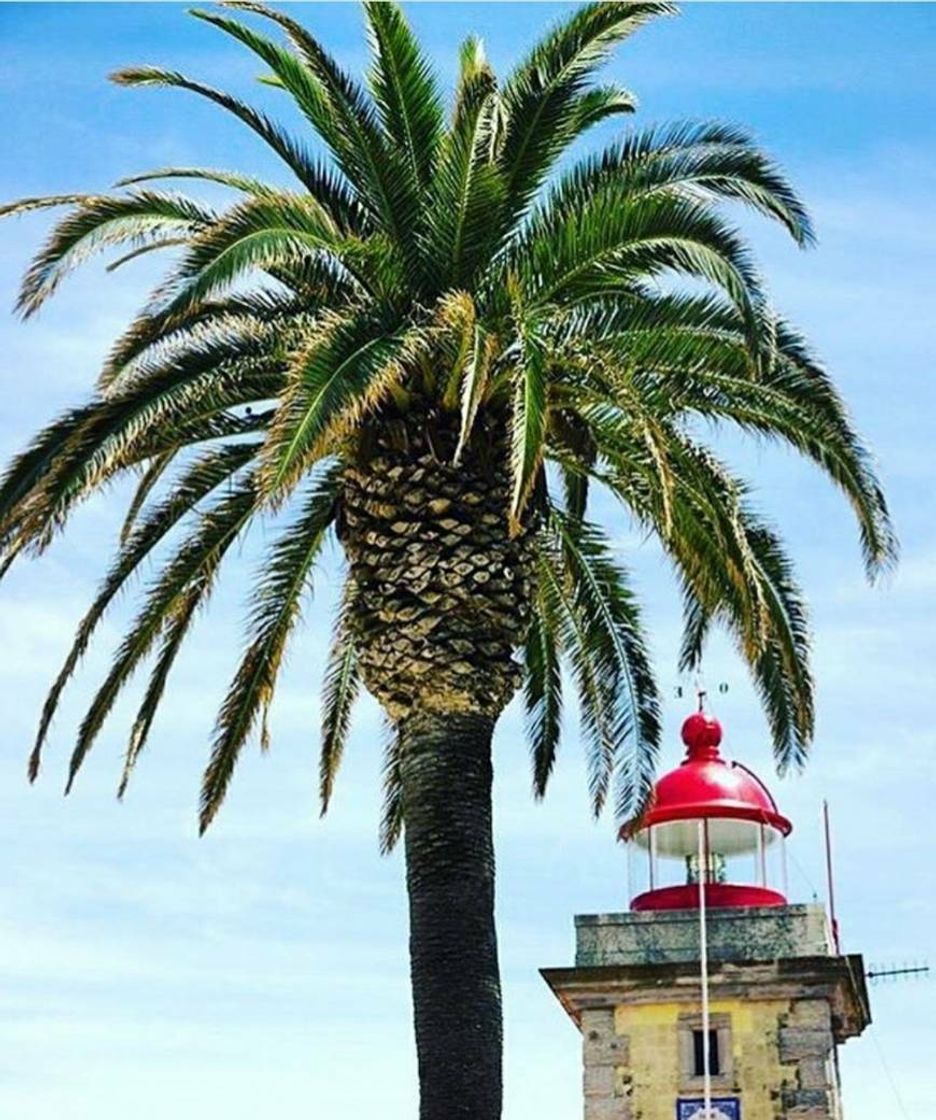 Lugar Ponta da Piedade