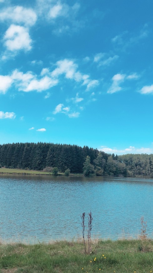 Lugar Lac de Weiswampach