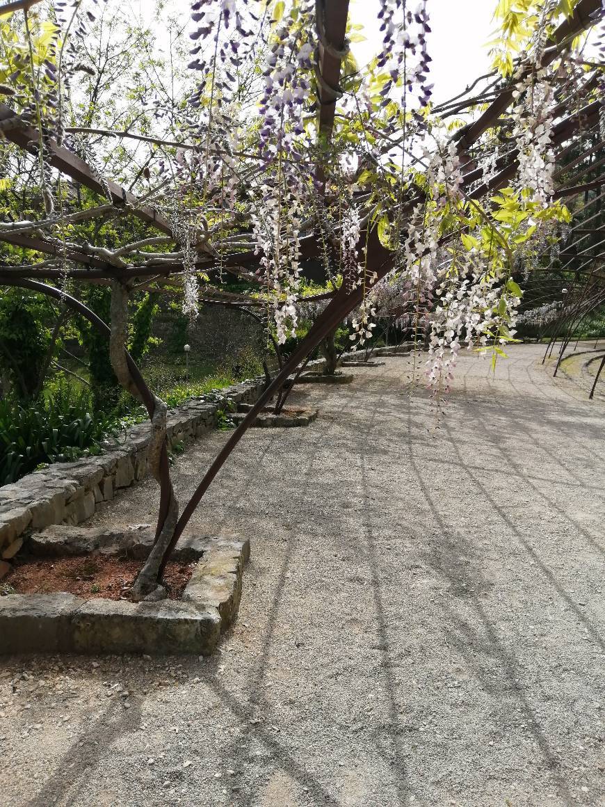 Quinta de São Jerónimo, Coimbra