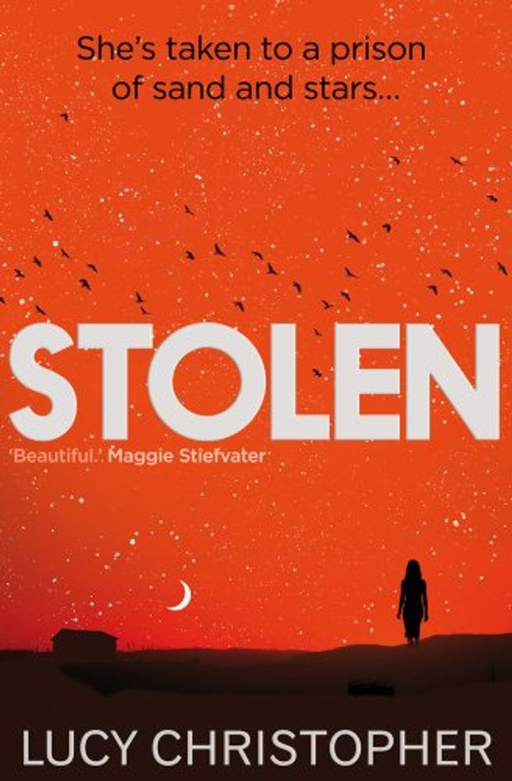 Libro Stolen