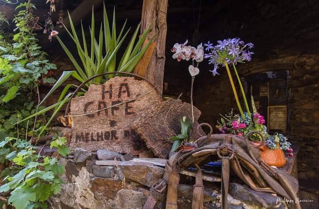Place Catarredor