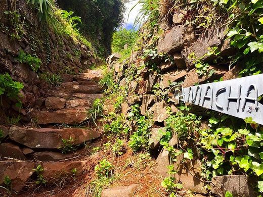 Camacha - Levada do Caniço