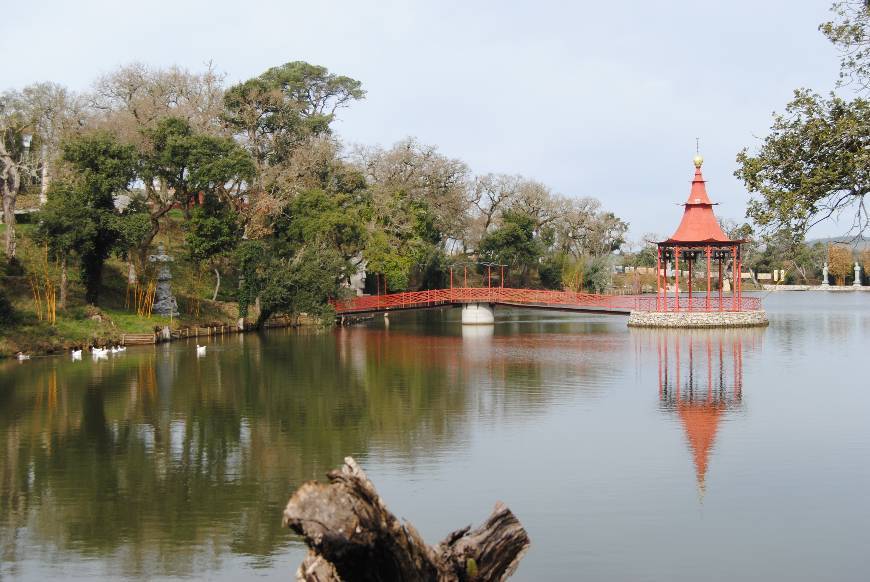 Lugar Buddha Eden