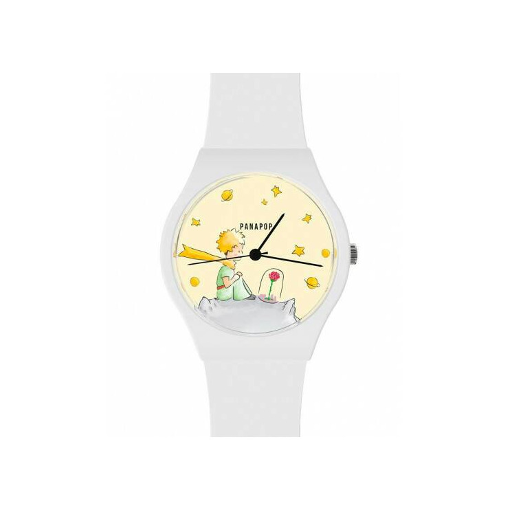 Social Watch The Little Prince and the Rose