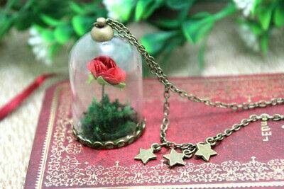 Social Colar 🌹✨