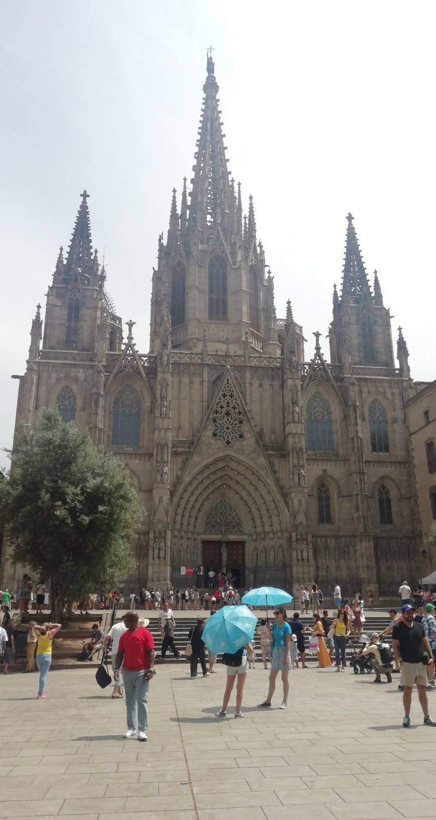 Lugar Catedral de Barcelona