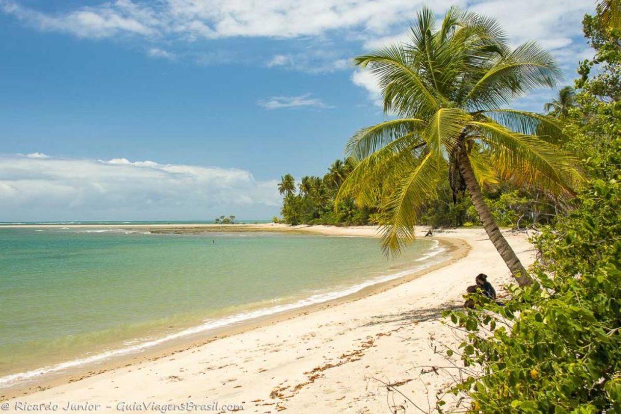 Lugar Boipeba Paradise