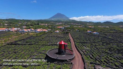 Paisagem Cultural da Vinha do Pico – Ilha do Pico