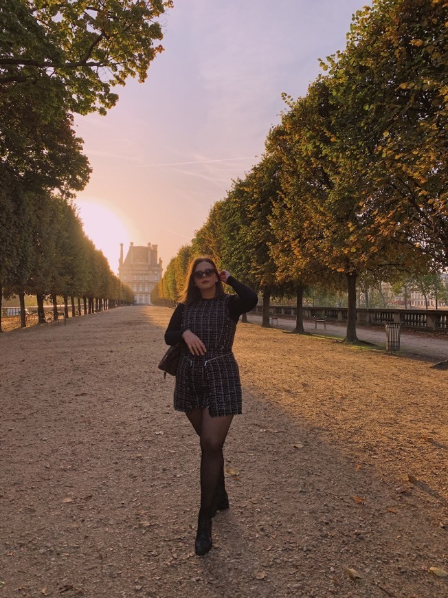 Lugar Jardin des Tuileries