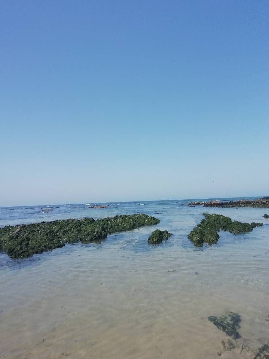 Place Praia da Apúlia