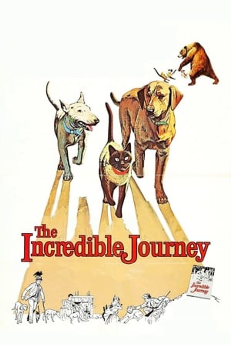 Movie El viaje increible