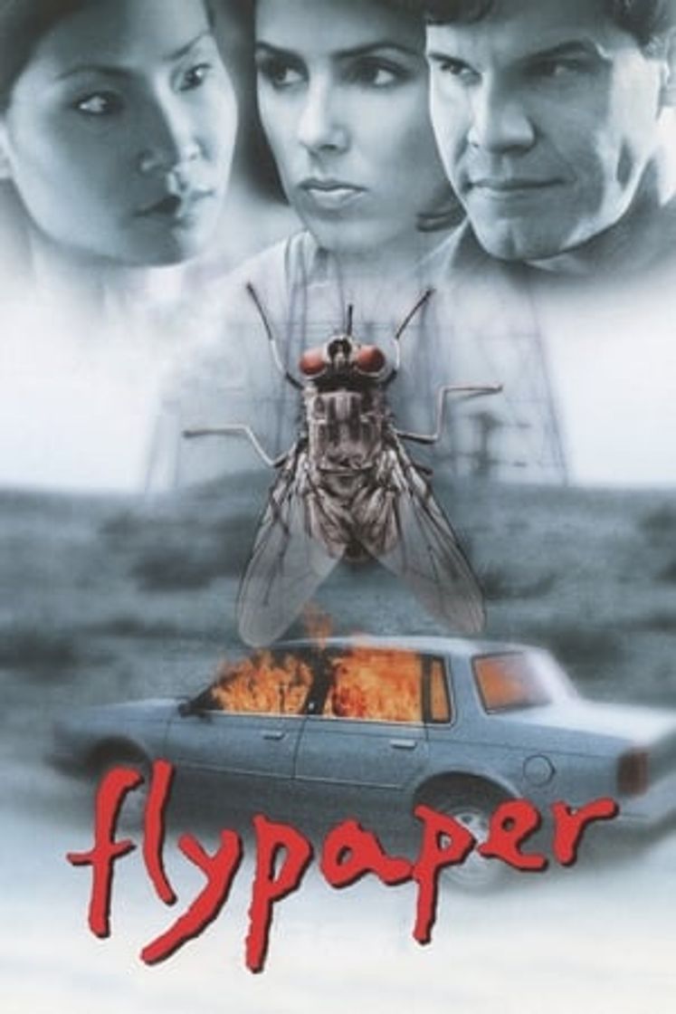 Movie Flypaper