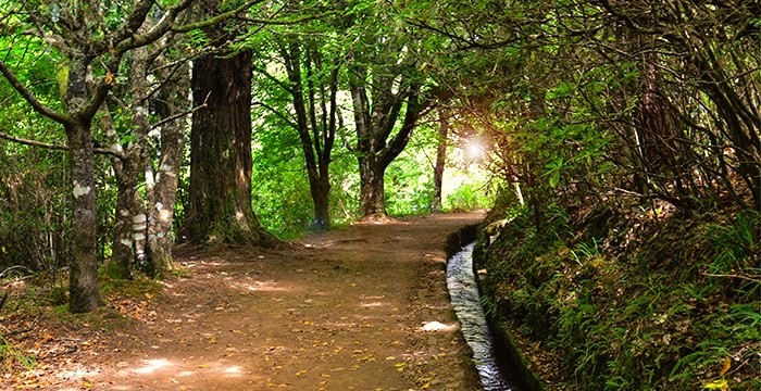 Moda Levada do Caldeirão Verde