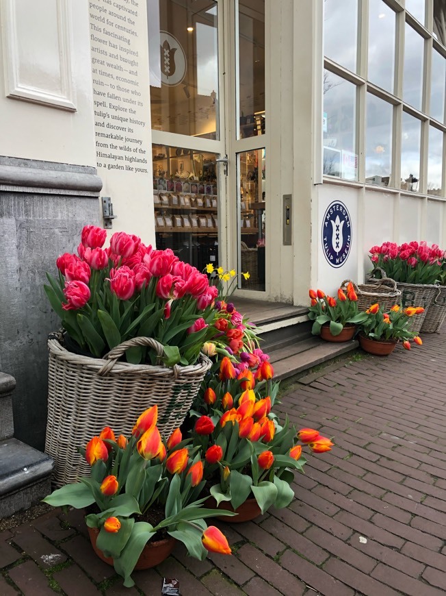 Lugar Amsterdam Tulip Museum