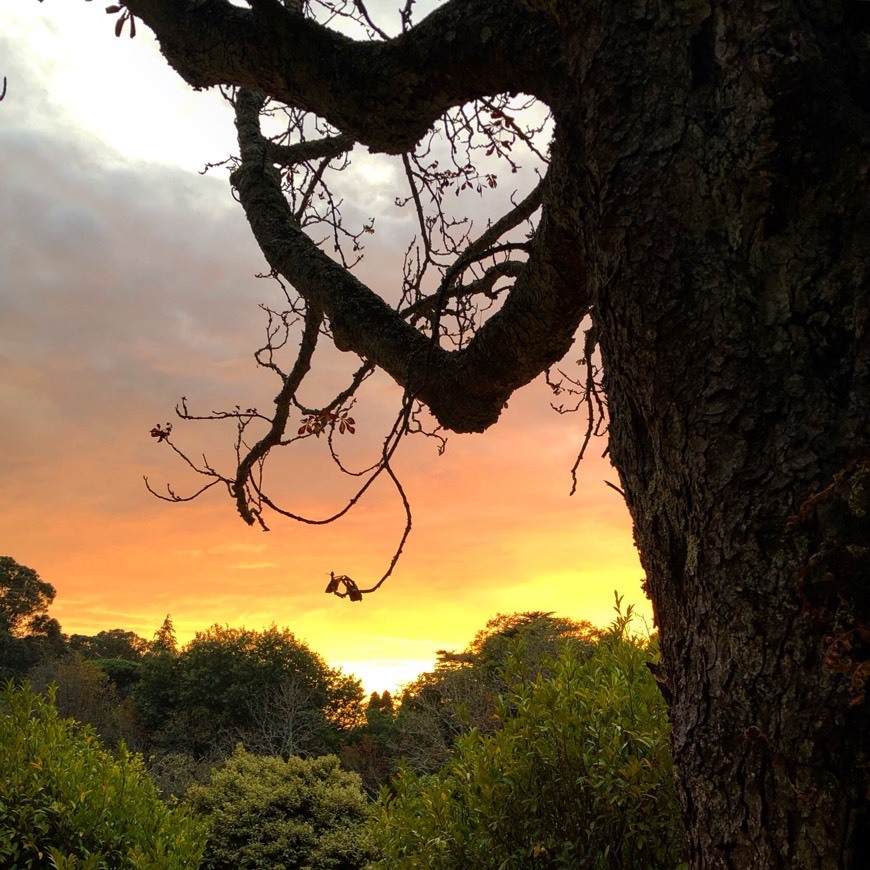 Lugar Parque de Serralves