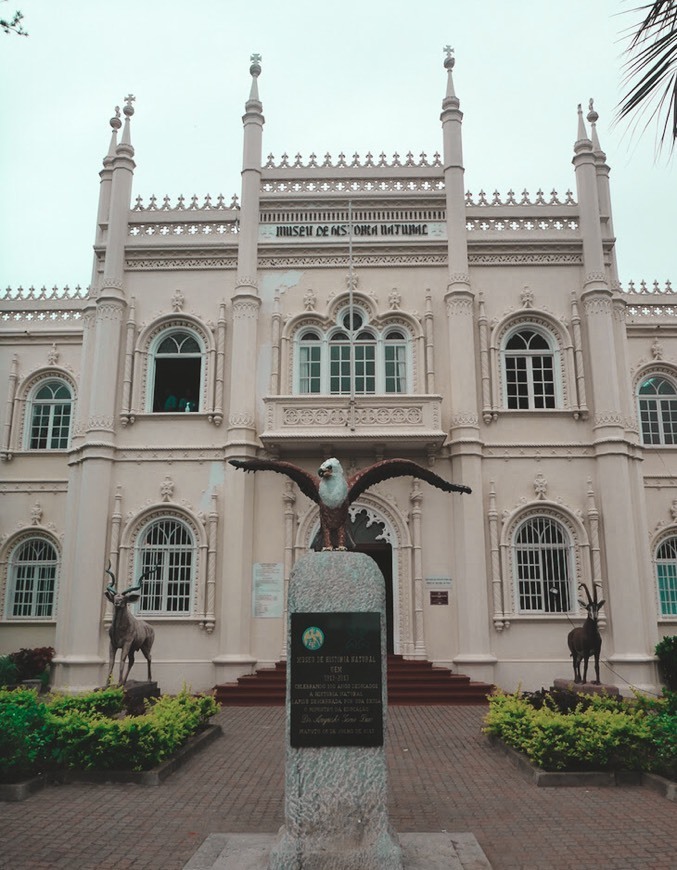 Lugar Museu de História Natural de Moçambique