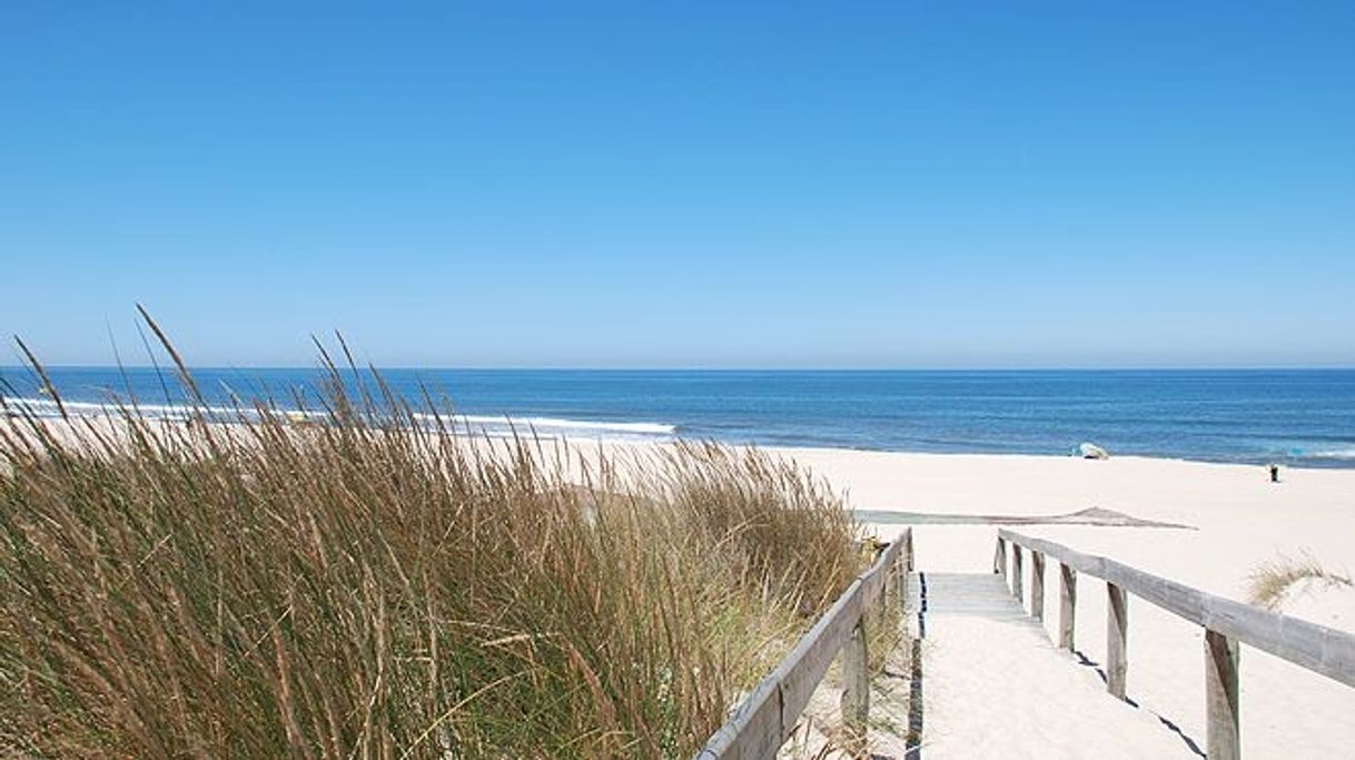 Lugar Praia da Torreira | www.visitportugal.com