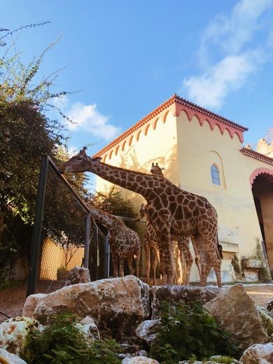 Jardim Zoológico de Lisboa