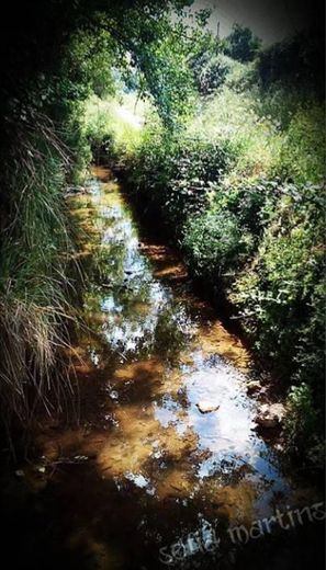 Cercal do Alentejo 