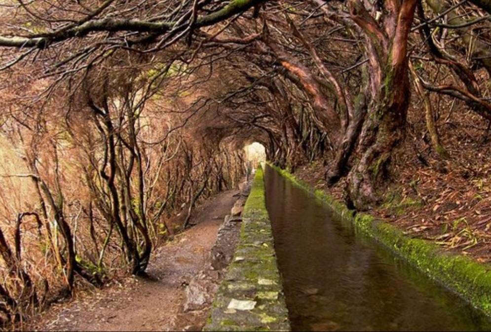 Place Calheta - Levada of 25 Fontes