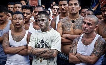 Fashion MS-13 - Wikipedia