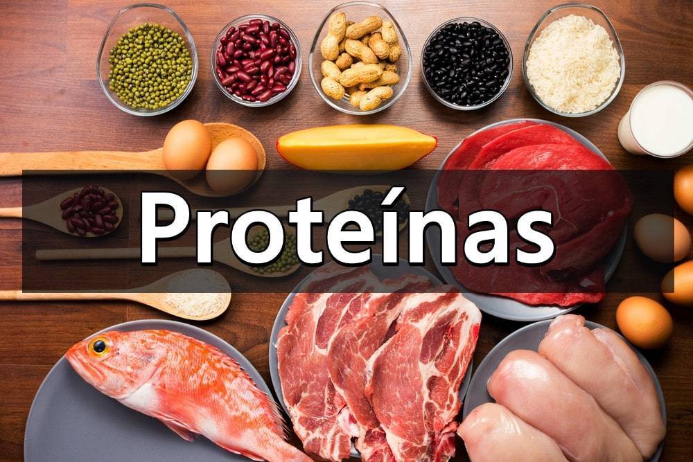 Producto Proteína