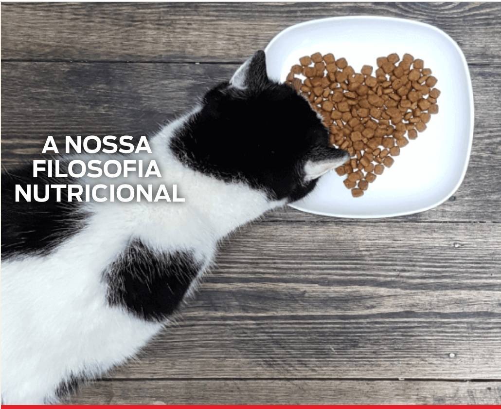 Moda PURINA your pet, our passion