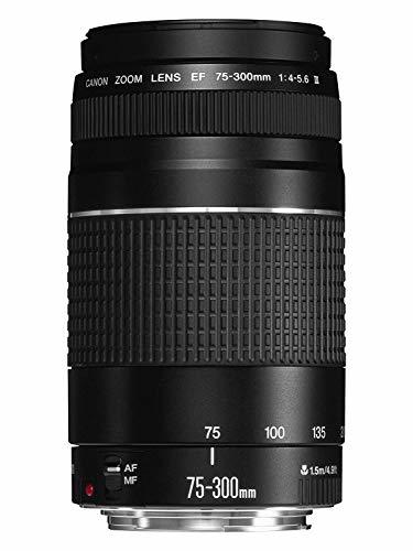 Social Canon 75-300 mm f/4-5.6 III - Objetivo para Canon