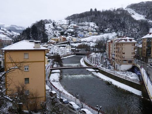 Cangas del Narcea