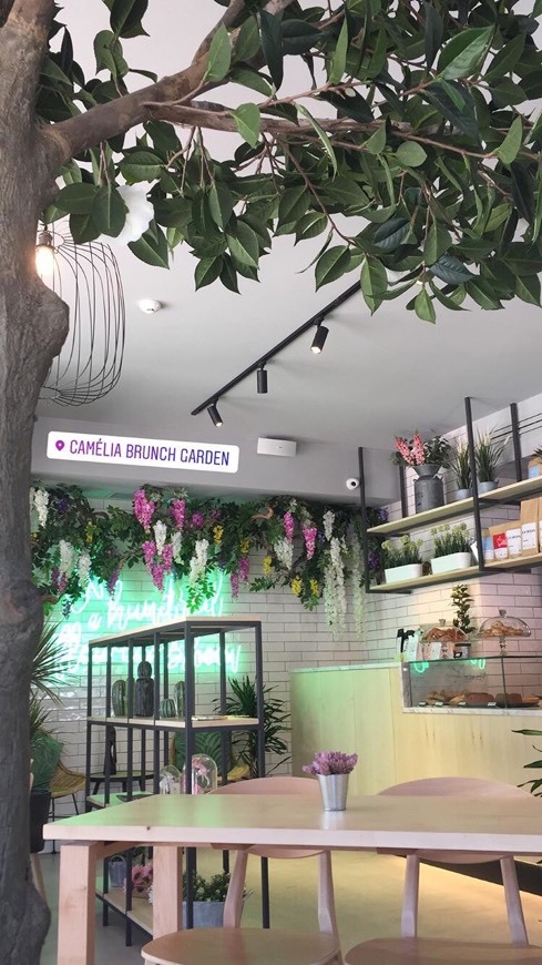 Restaurants Camélia - Brunch Garden