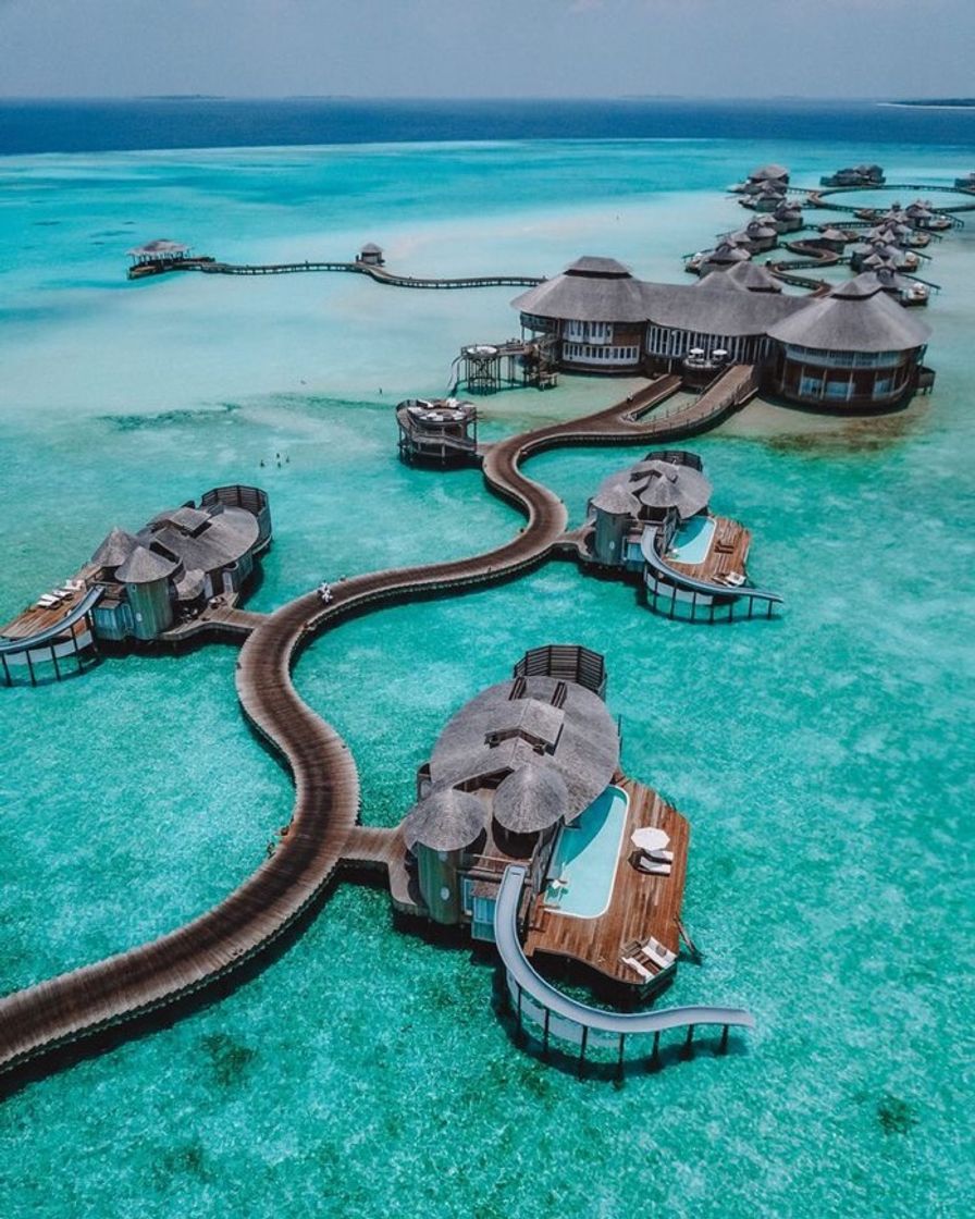 Social Maldives Travel Guide