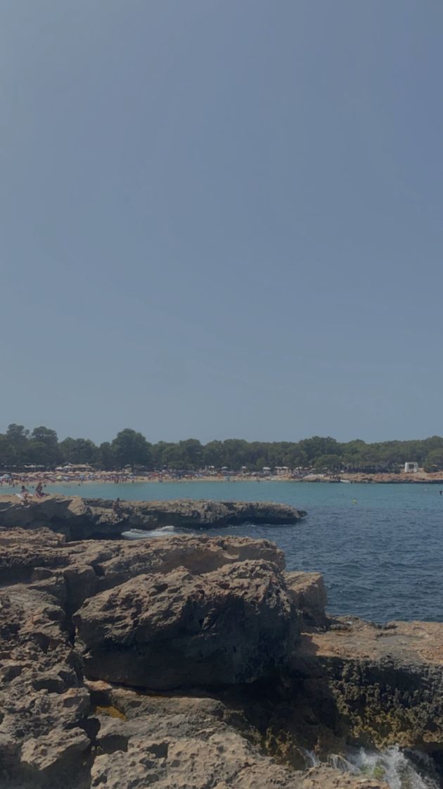 Place Cala Bassa