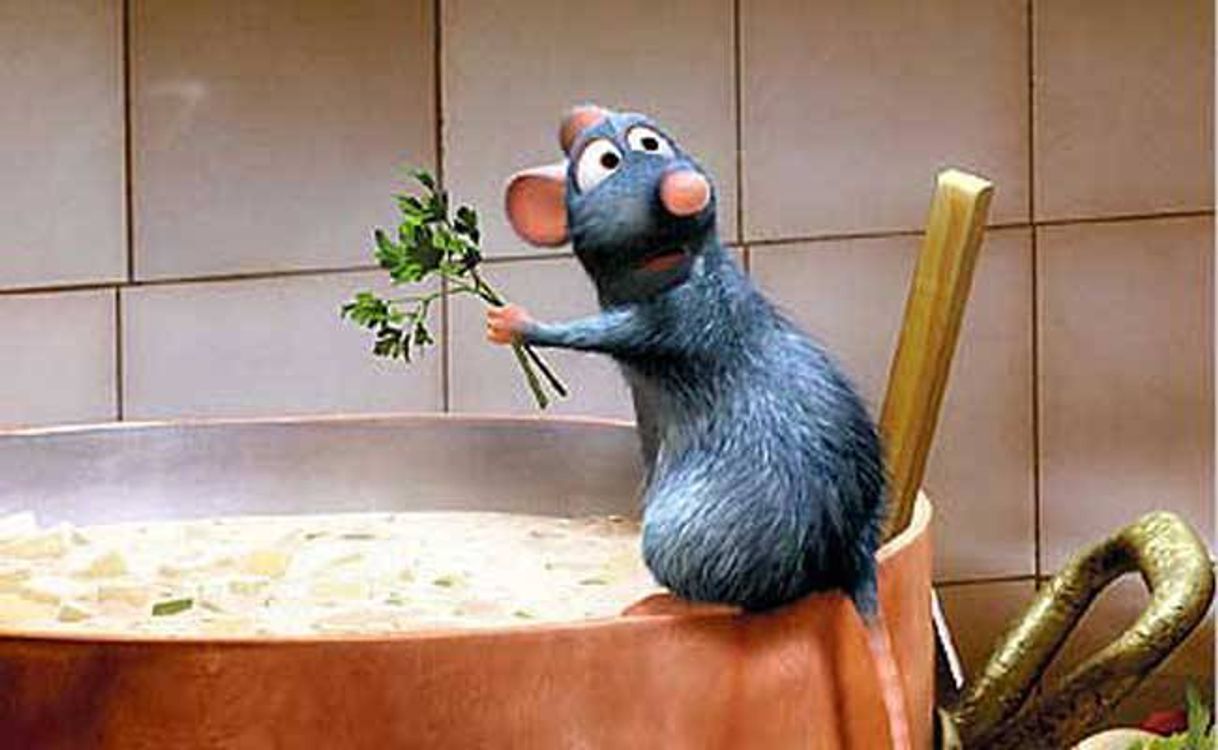 Fashion Ratatouille