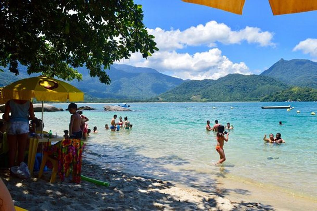 Lugar Praia Da Ilha Do Pelado