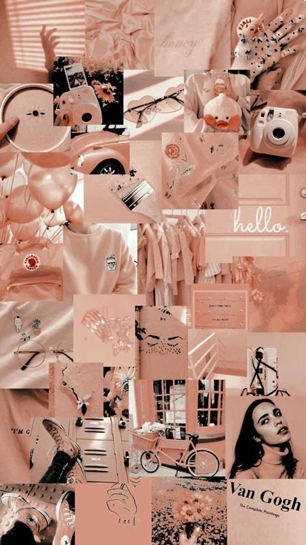 Social Papel de parede, aesthetic rose
