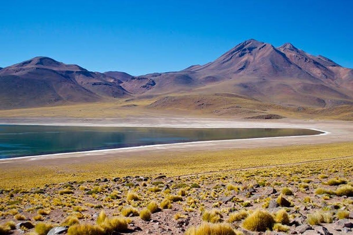 Lugar Lagunas Altiplánicas