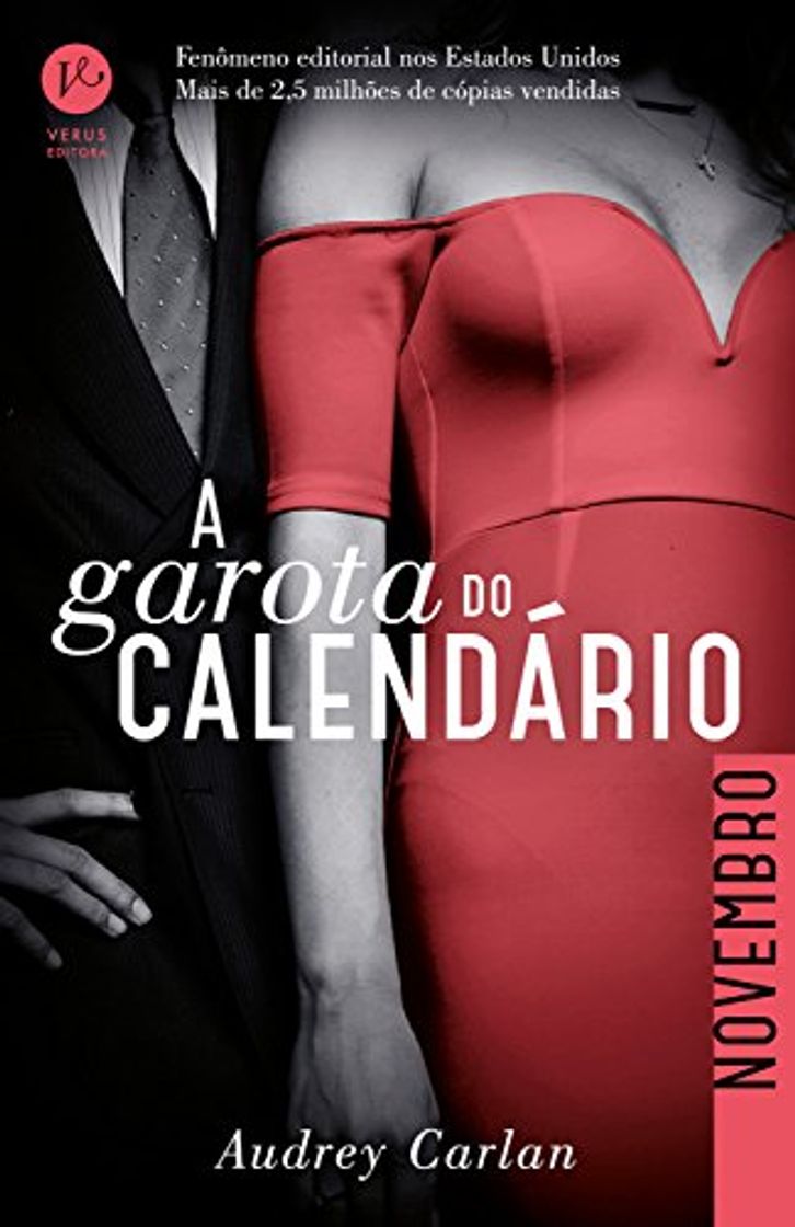 Libro A garota do calendário: Novembro