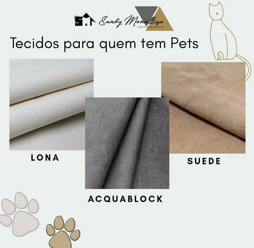 Moda Dicas para pets! 