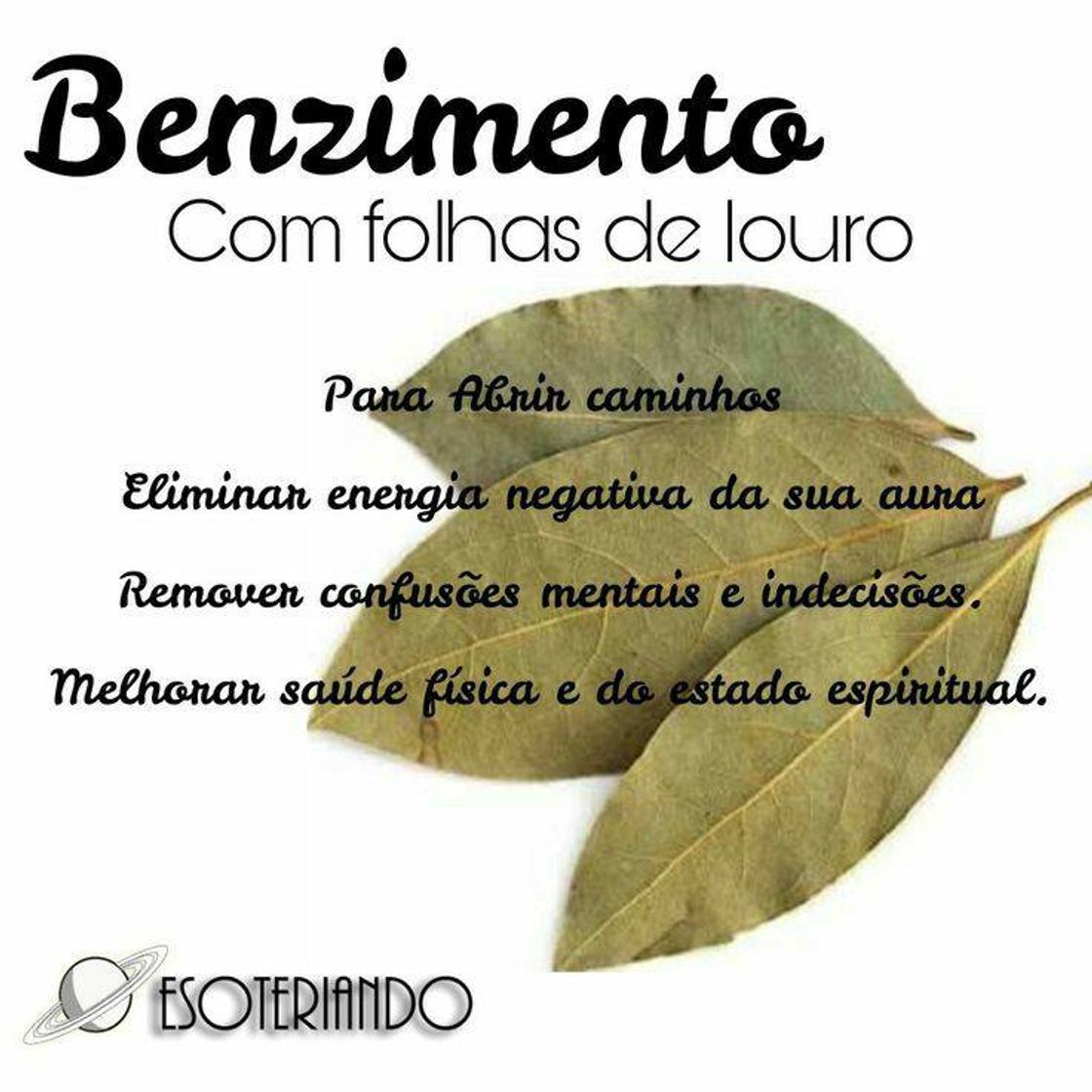 Fashion Benzimento com folha de louro