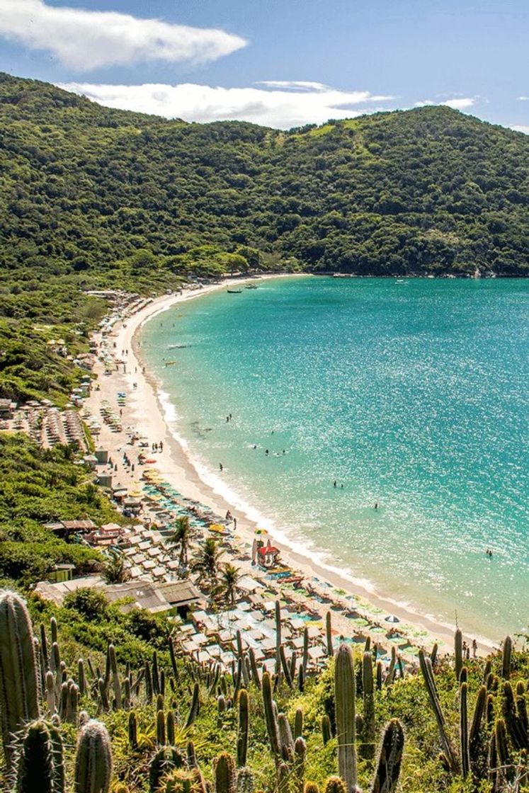 Place Arraial do Cabo