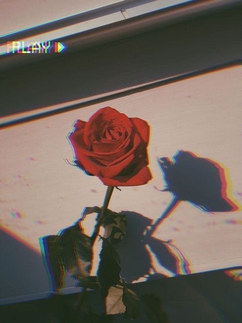 Social Wallpaper