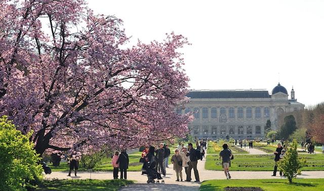 Lugar Jardin des Plantes